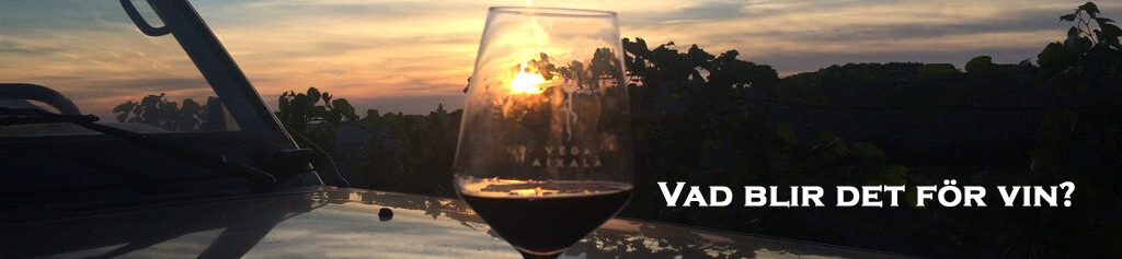 Vinprovning, vinguide, food & bevereges